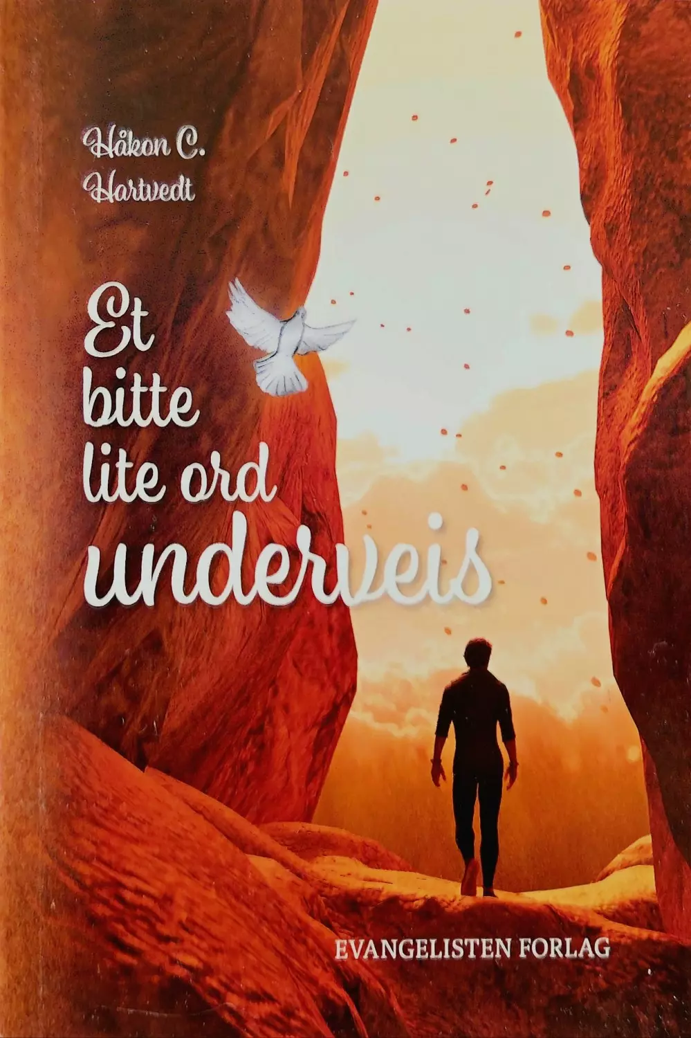 Et bitte lite ord underveis