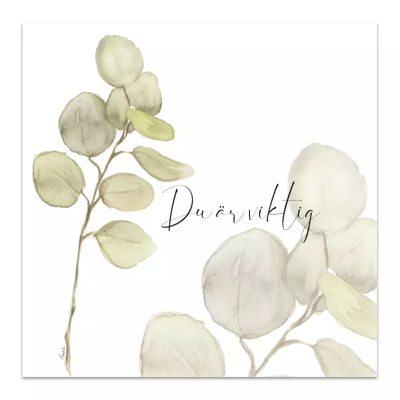 Magnet, Du er viktig (BM32)