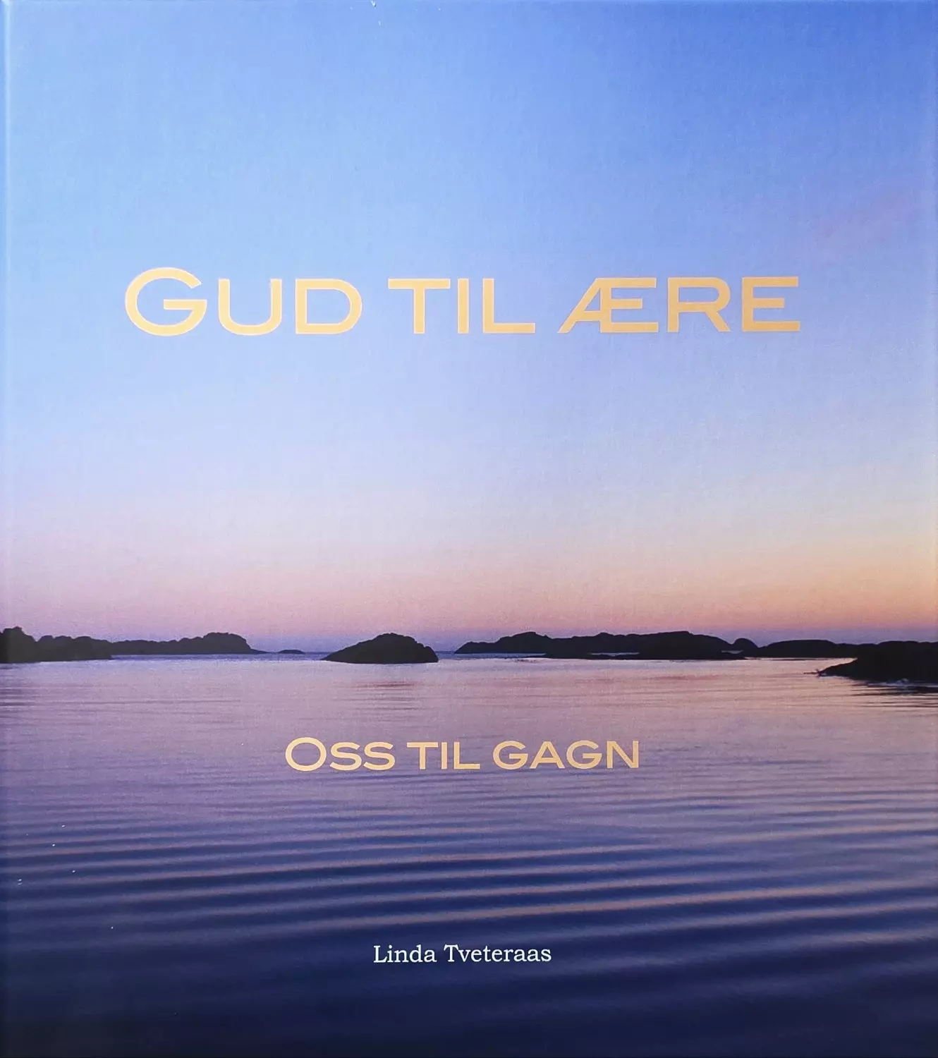 Gud til ære oss til gagn