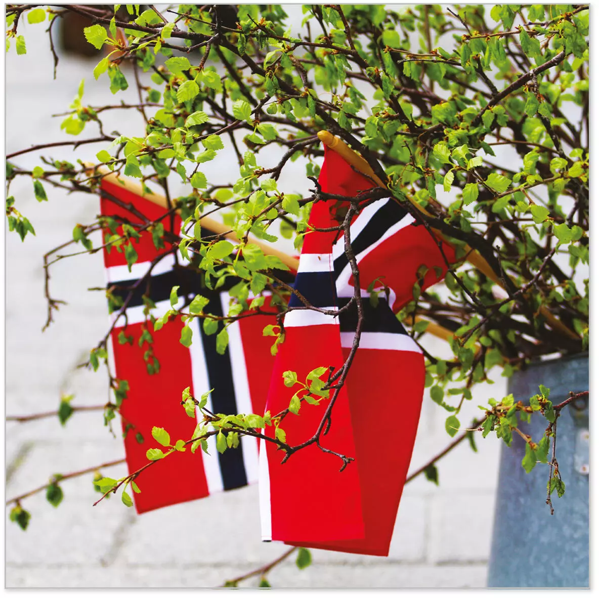 Servietter Lunsj, 17. mai Flagg  og bjørk (33x33 cm, 20 stk)