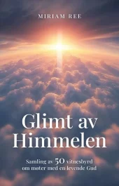 Glimt av himmelen - Samling av 50 vitnesbyrd