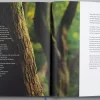 gallery-438-for-9781433579240