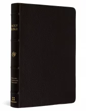 ESV - Compact Bible, Buffalo Leather, Deep Brown