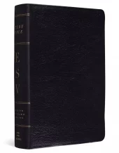 ESV - Study Bible, Personal Size