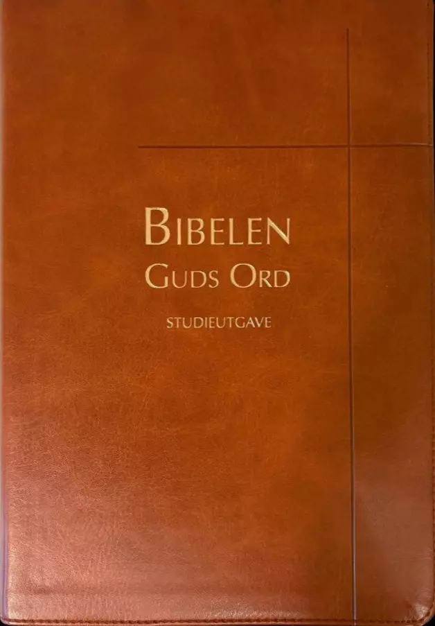 Bibelen Guds Ord (R17). Studieutgave. Brunt kunstskinn