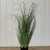 Strå med blomst, Trend design