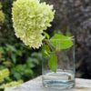 Cylinder glassvase