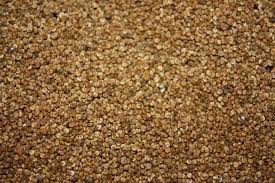 Norsk Quinoa