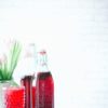 Rotvoll Tranebærsaft (Usukret) 330ml