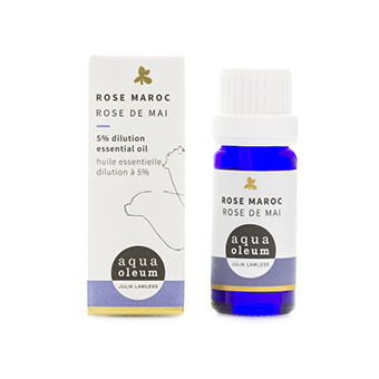 Aqua Oleum Rose Maroc Olje - 5% dilution - 10ml