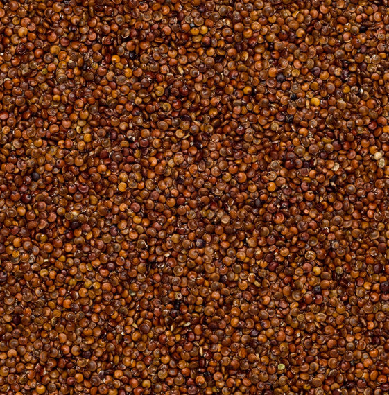 Økologisk Quinoa Rød
