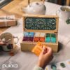 PUKKA TEA DISCOVERY BOX