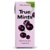 TRUE MINTS - Blackcurrant13g