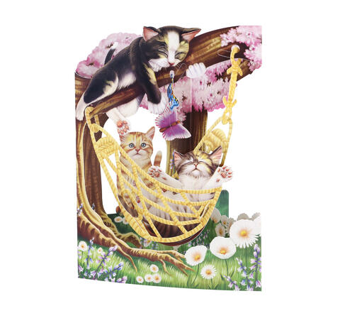 Swing Card Katt i Hammock SC209