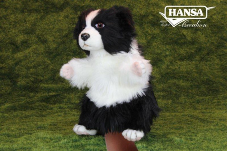 8349 Border Collie Puppet