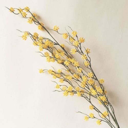 Gren med gule blomster