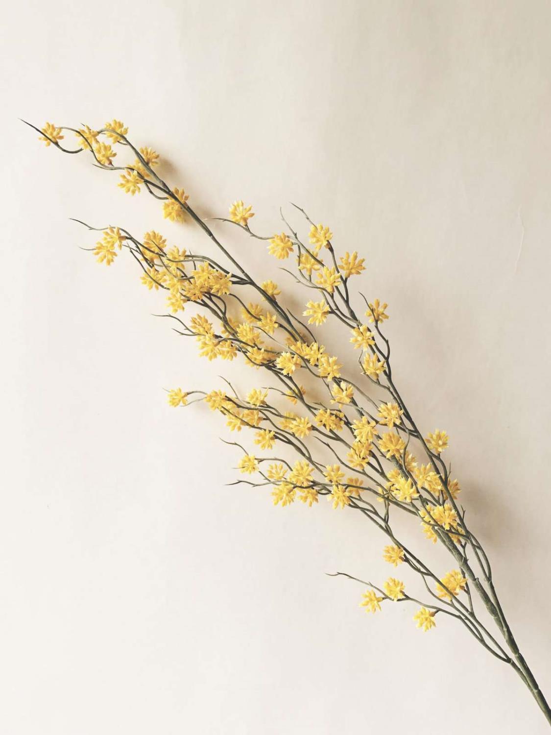 Gren med gule blomster