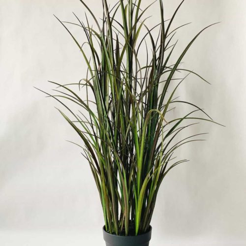 Gress i potte H:122cm
