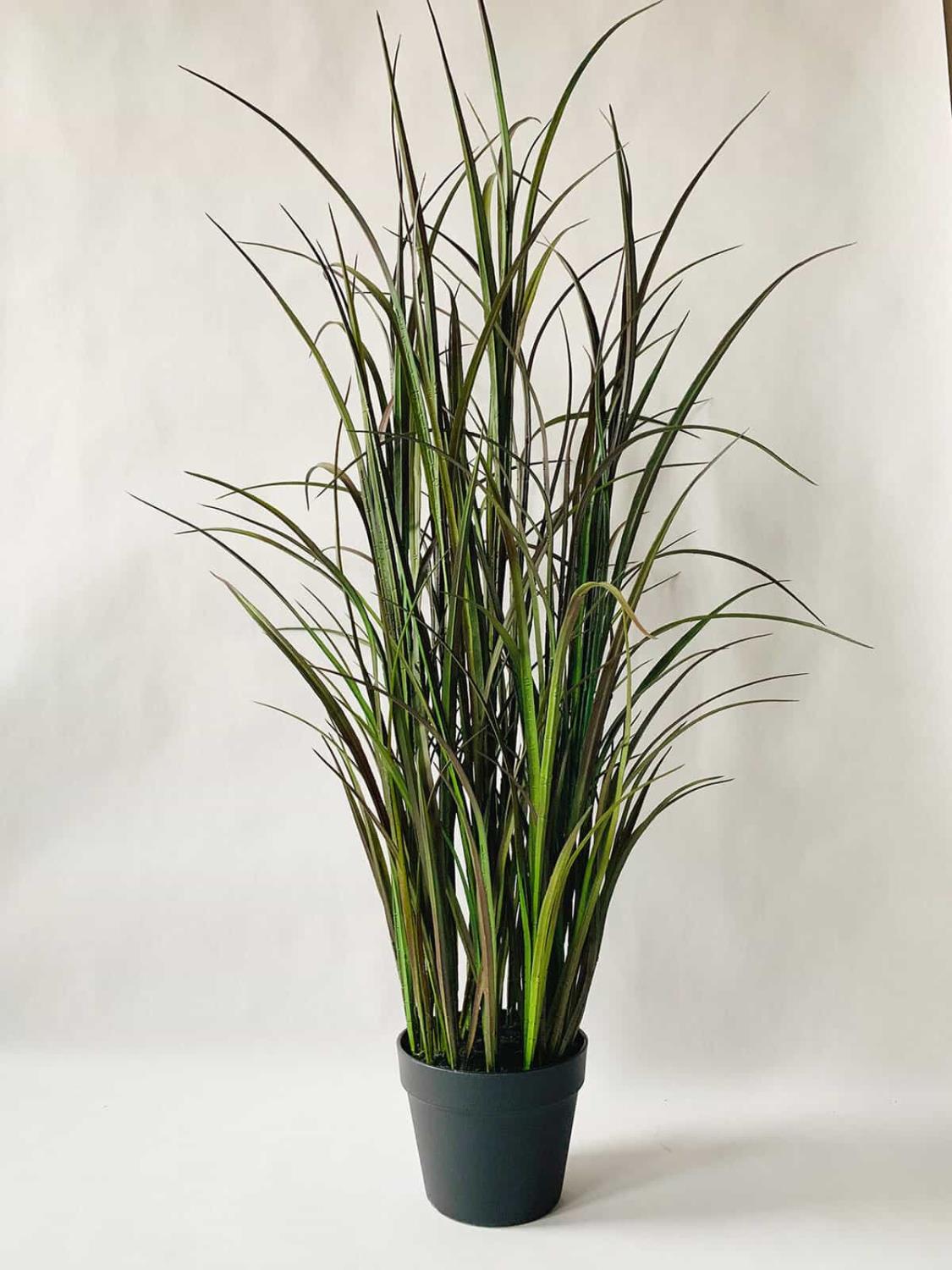 Gress i potte H:122cm