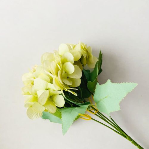 Hortensia 20 cm. grønn