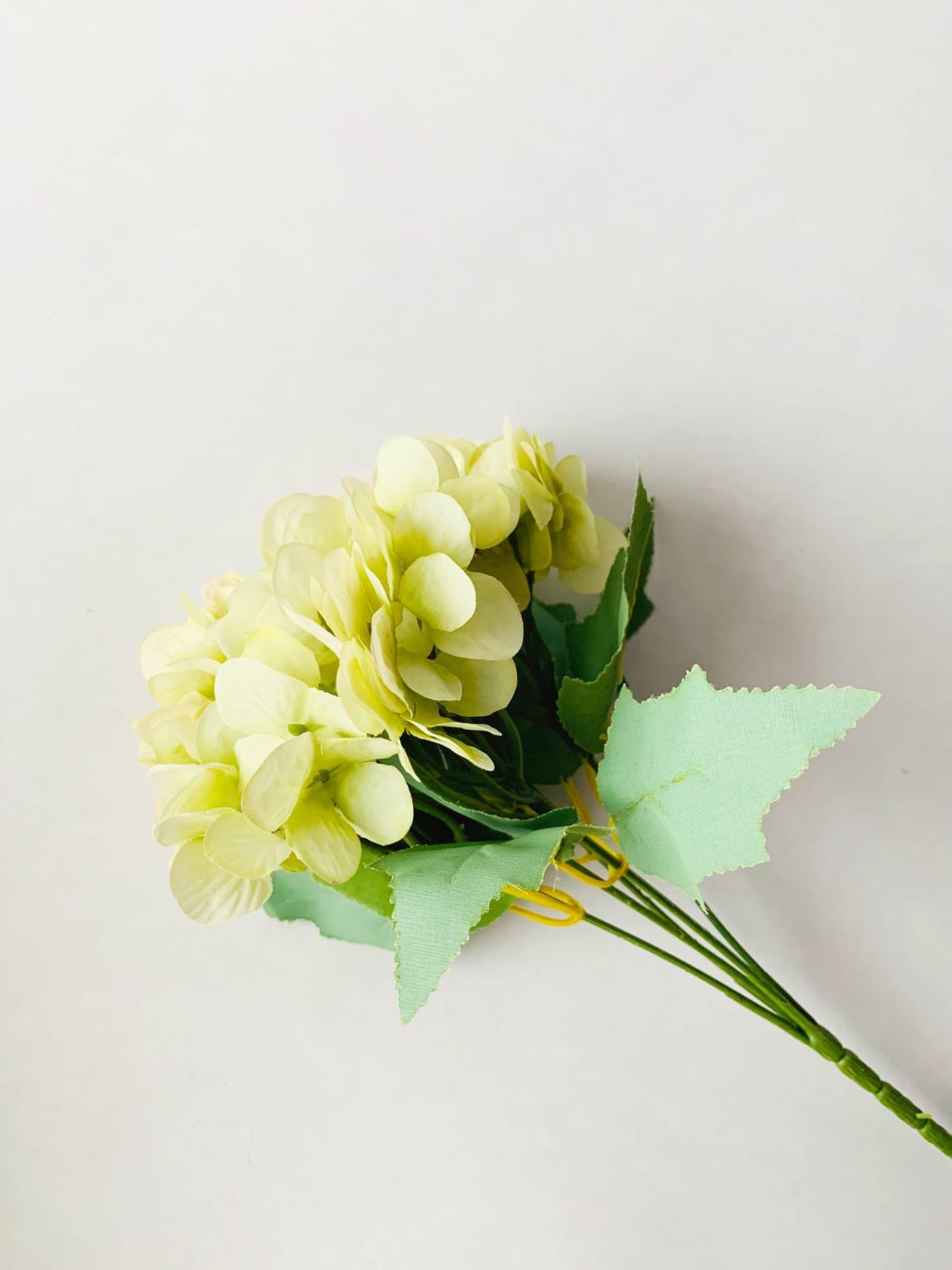 Hortensia 20 cm. grønn