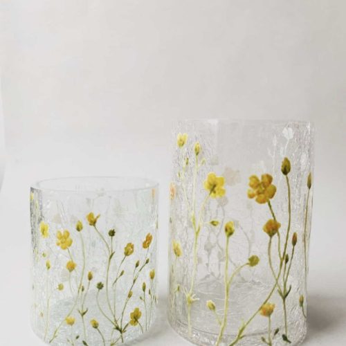 Lysglass smørblomst