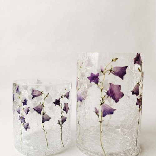 Lysglass blåklokker