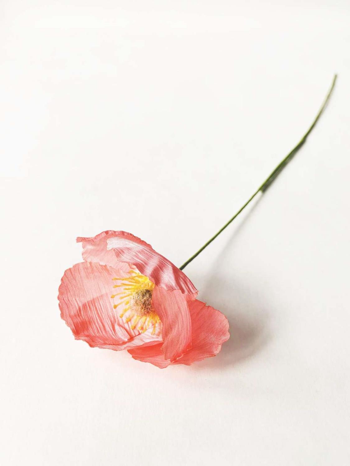 Valmue rosa