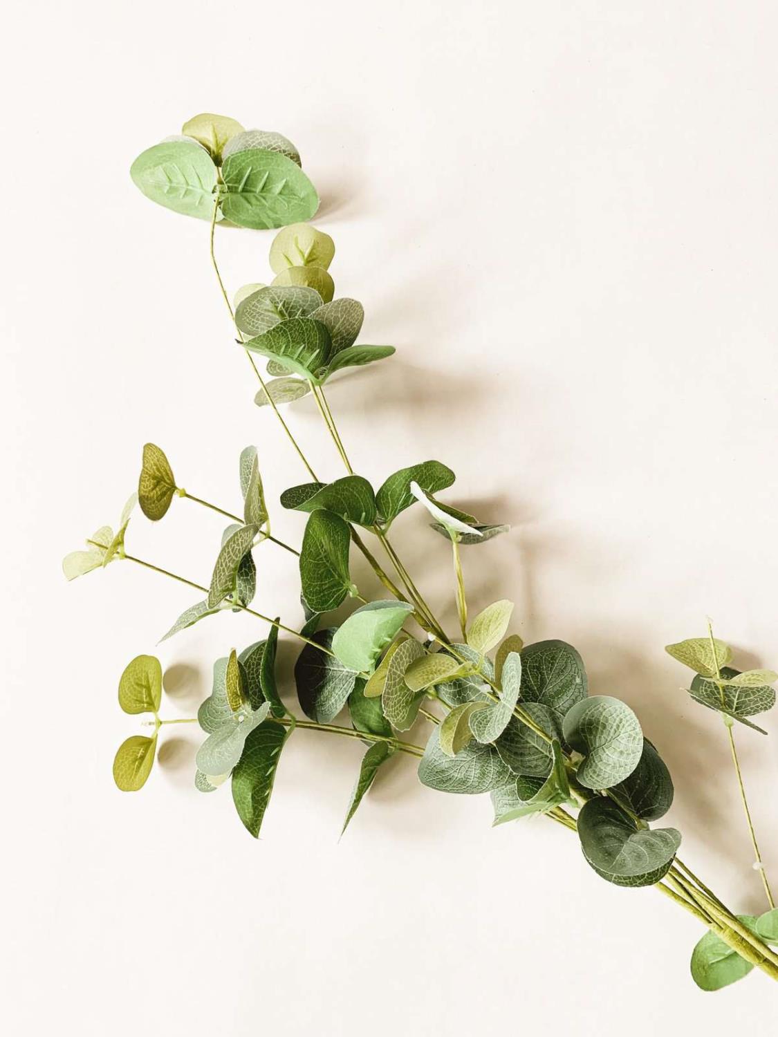 Gren eucalyptus 84 cm