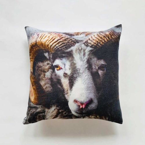 Putetrekk m trykk 45×45 cm vær