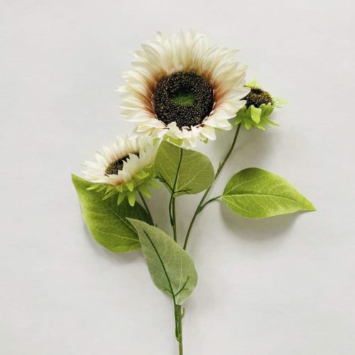 Solsikker 68 cm hvit