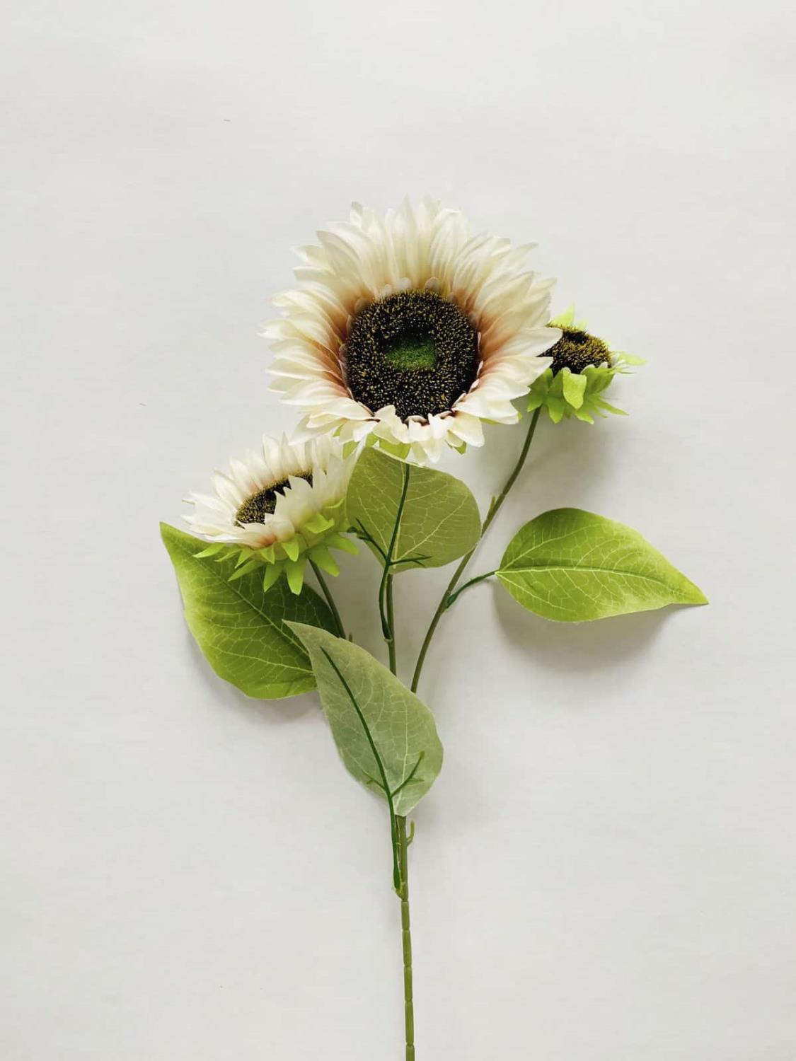 Solsikker 68 cm hvit