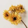Gerbera s/4