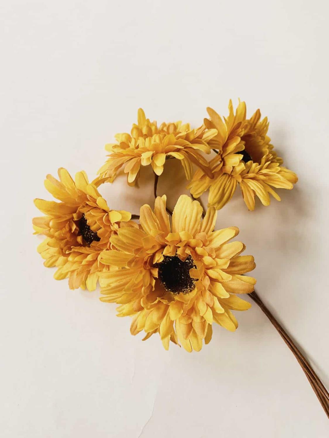 Gerbera s/4
