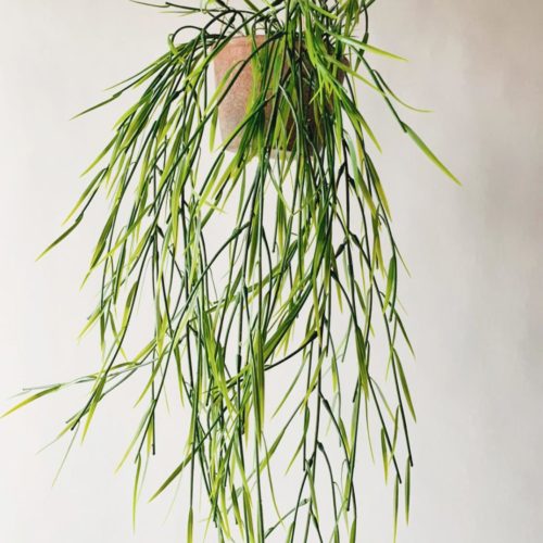 Hengeplante E H:82cm