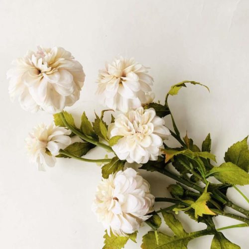 Dahlia pompom bukett