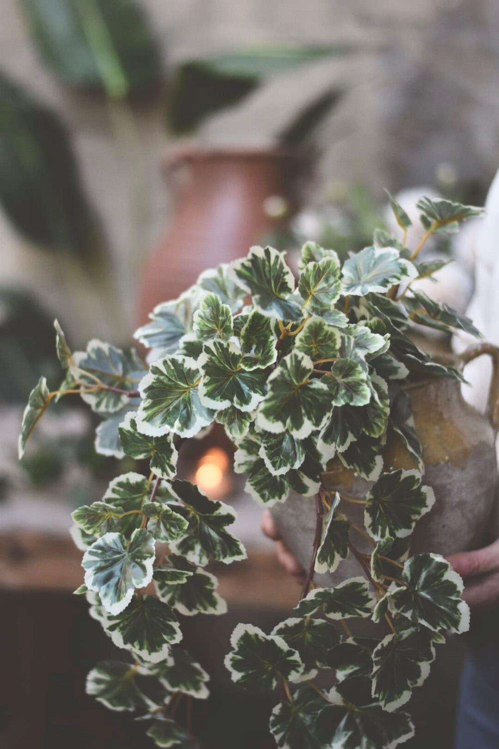 gallery-3092-for-107730