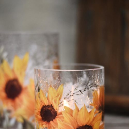 gallery-3087-for-107716