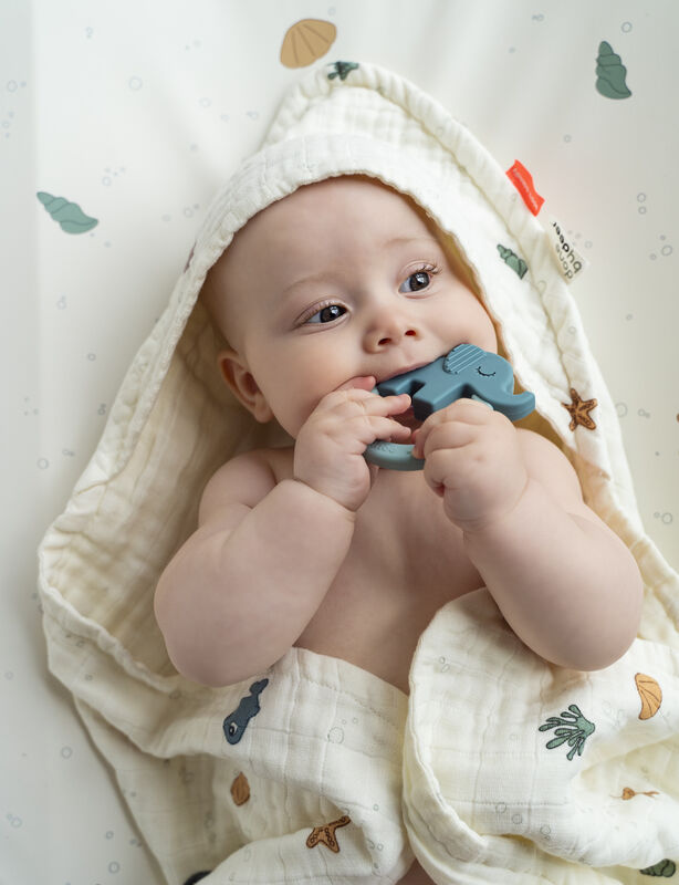 gallery-814-for-DD4019102