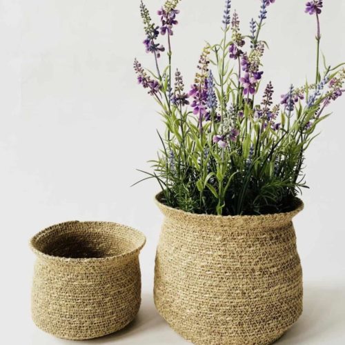 gallery-2939-for-107497