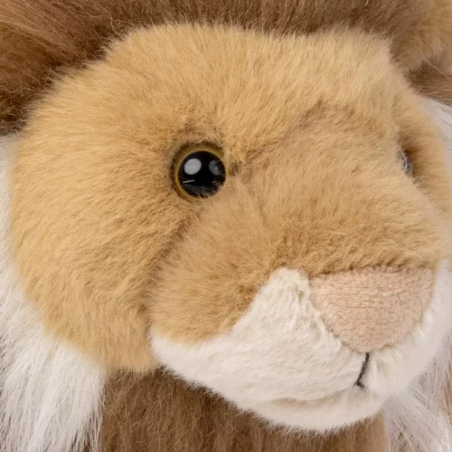 gallery-3266-for-CHTED