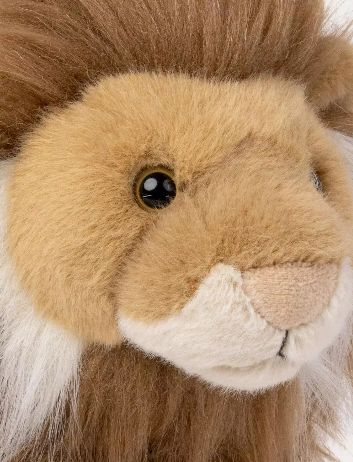 gallery-3266-for-CHTED