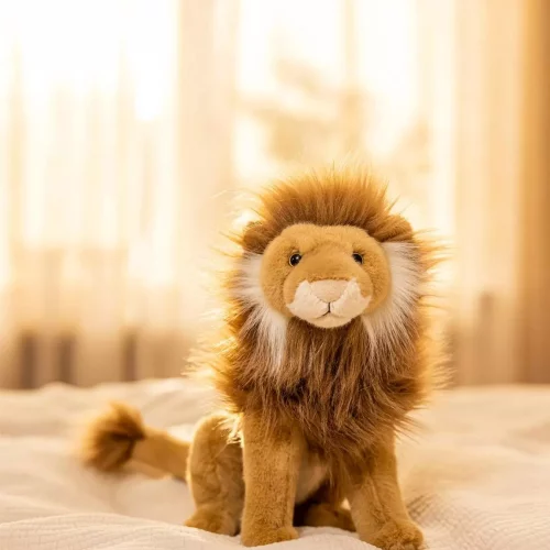 gallery-3267-for-CHTED