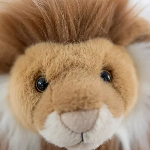 gallery-3268-for-CHTED