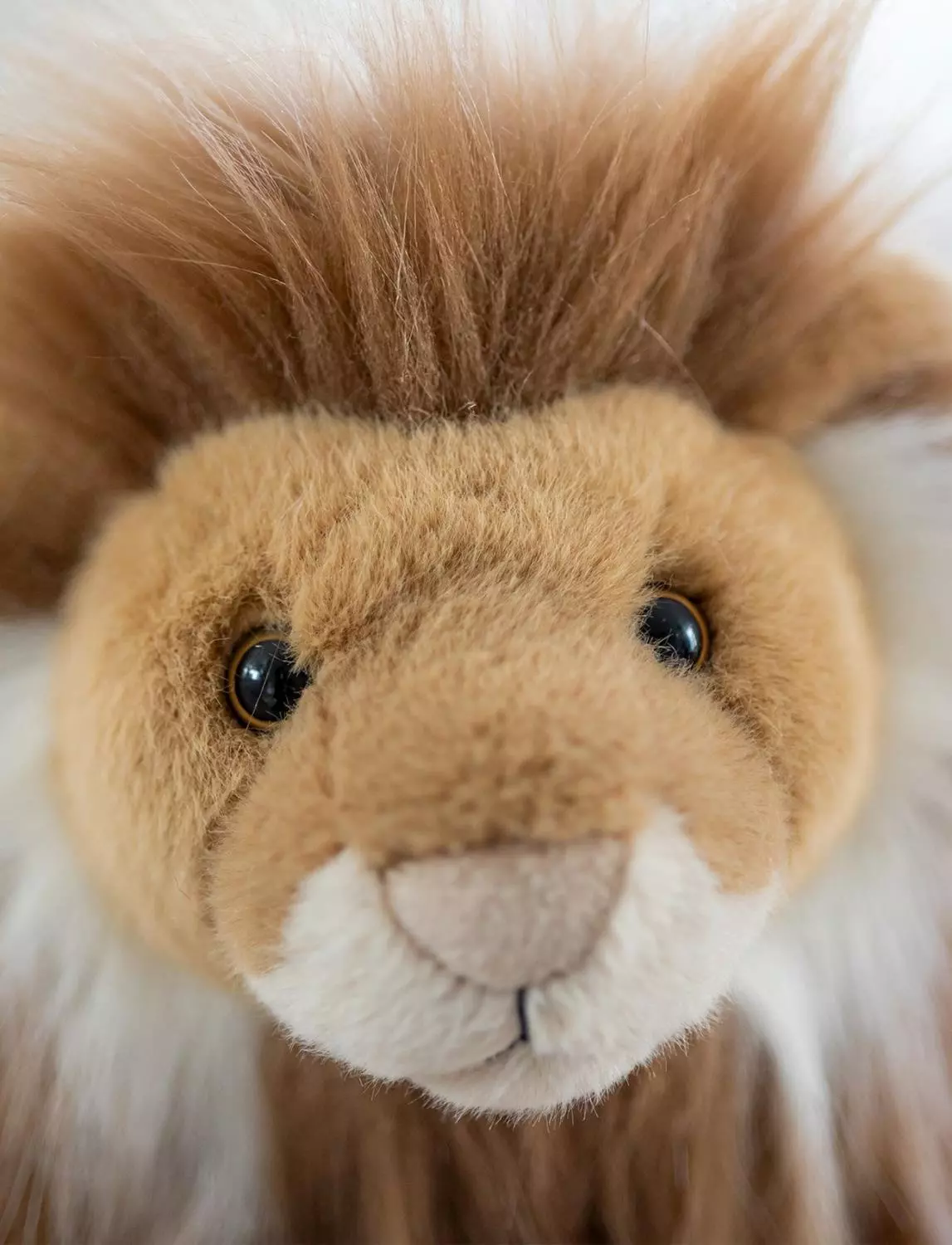 gallery-3268-for-CHTED