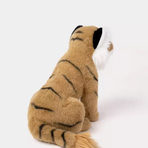 gallery-3270-for-CHTED04304