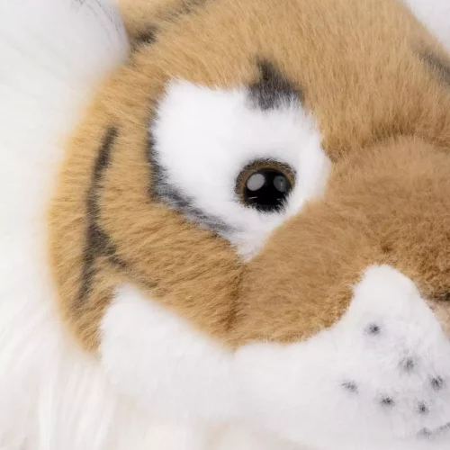 gallery-3271-for-CHTED04304