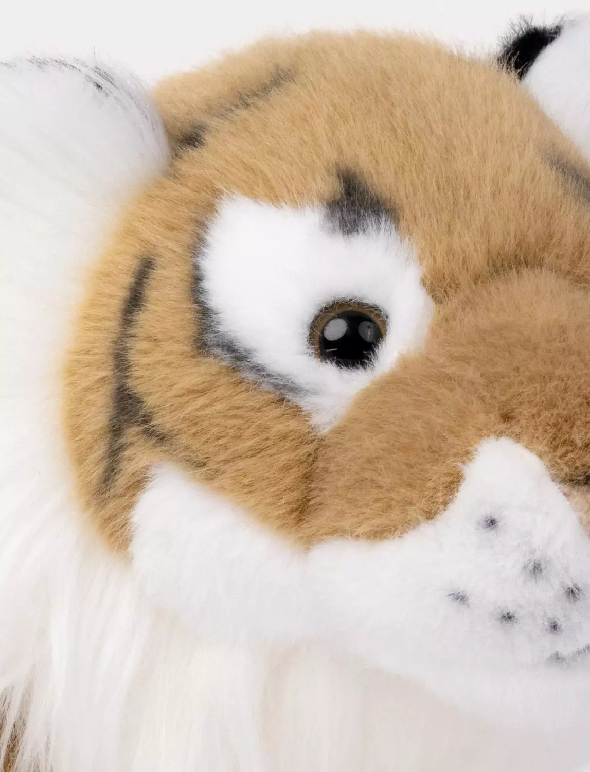 gallery-3271-for-CHTED04304