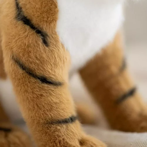 gallery-3272-for-CHTED04304