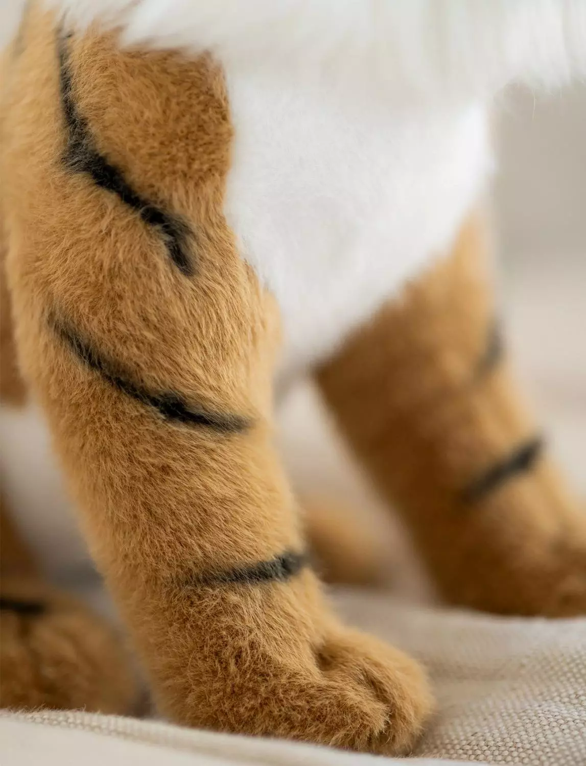 gallery-3272-for-CHTED04304